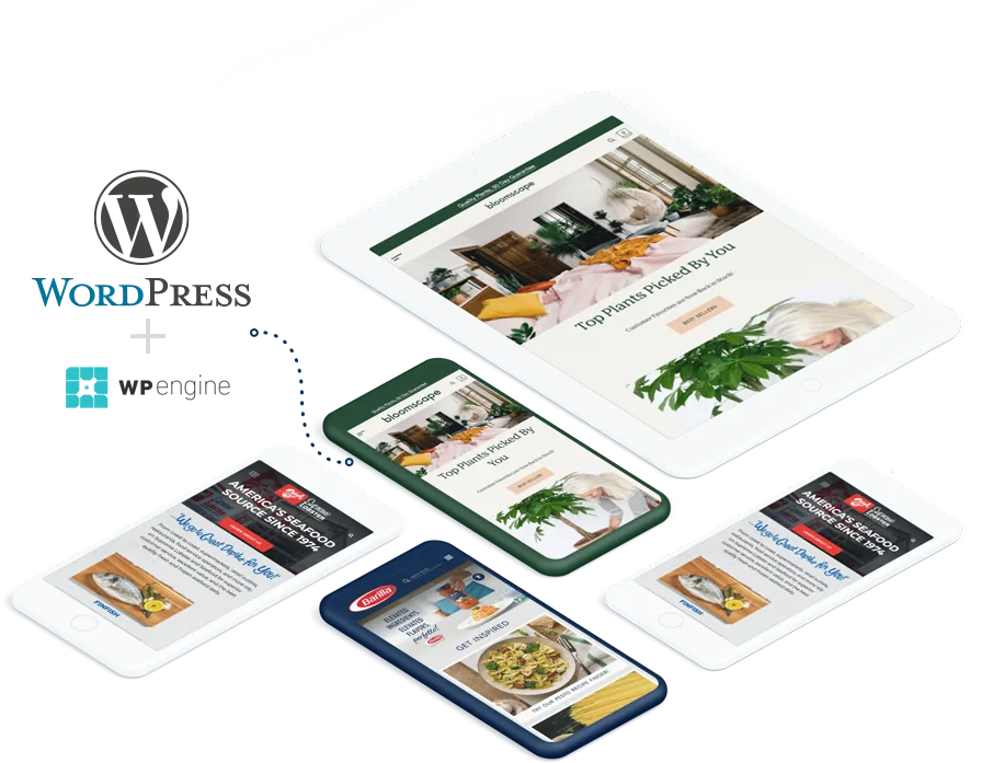 WordPress   Development - 开道体育